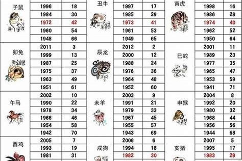 马年年份|属马有哪些年份 生肖马年是哪几年